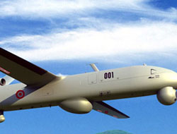 Mardin'de heron düştü!