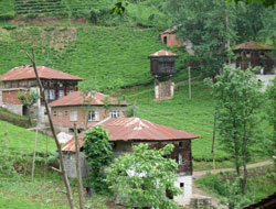 Giresun'a yeni köy kuruldu!