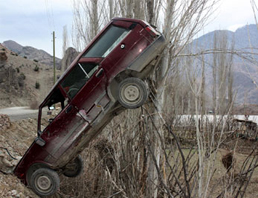 Hamsi değil araba kavağa çıktı!