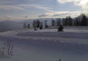 Haber61 objektifine yansıyanlar