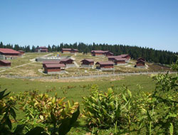 Trabzon Kayabaşı sahibini buldu