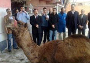 Develer MOBESE için güreşti!