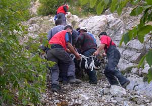 Ceset Trabzon'a getirildi