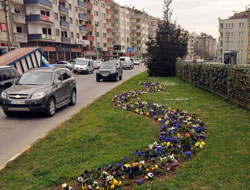 Trabzon çalışmalara hız verdi