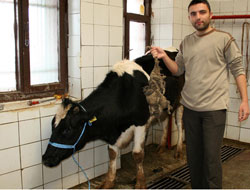 Bakın karnından ne çıktı?