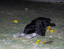 Vahşetin korkunç gerçekleri!