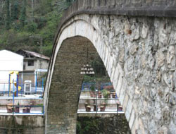 Fıkra gibi bir olay daha!