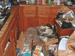 Evden 4 ton çöp çıktı!