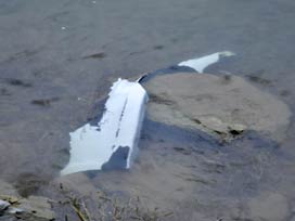 Otomobil baraja uçtu: 4 ölü