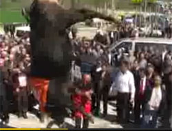 Milletvekili buna isyan etti!