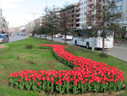 Trabzon daha da güzelleşiyor...