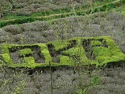 Rizeli çiftçinin AK Parti aşkı!