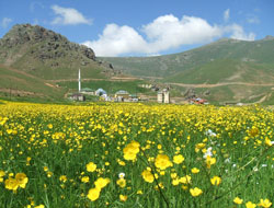 Trabzon stres attıracak!