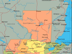 Katliam! Çocukların Başını Kestiler!