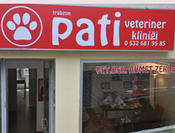 Habu kuyruği kaça kesiysin?