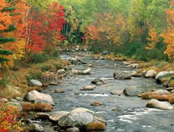 Kadırga Şenliği'nde Trabzon coştu