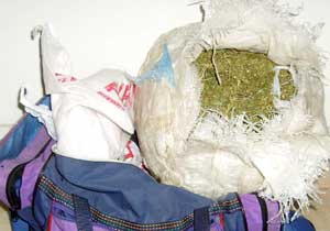 116 kilo esrar ele geçirildi!