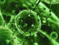 Korkutan salgında yeni şüpheli!