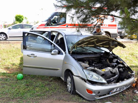 Karıncayı kovalarken kaza yaptı!