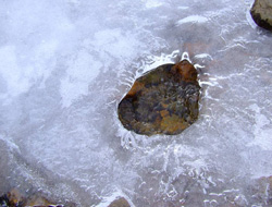 Trabzon'da çocuk cesedi bulundu