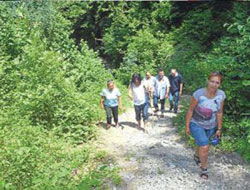 Survivor'dan sonra "LAZvivor"