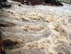 Daha 20 gün olmuştu kavuşalı...