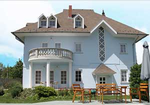 Tapu müdürünün villası varmış