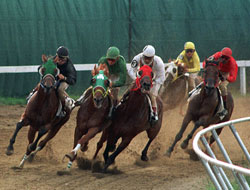 85. Gazi Koşusu yapıldı