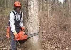 Elleriyle ölüme gitti