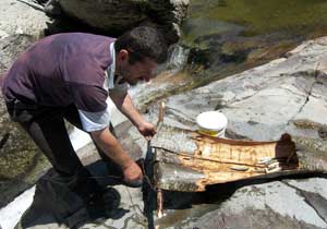 Trabzon'da denizden uçak çıktı!