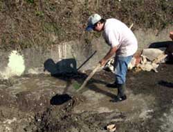 Bu kız 16 yaşında ama ...