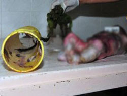 Su borusu içinde bebek cesedi!