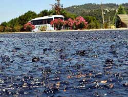 Asfalt eriten sıcak geldi