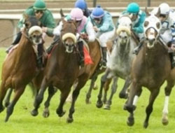 60. Başbakanlık Kupası Koşusu!