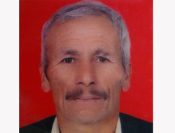 Üzerine ağaç düştü, öldü!