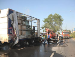 Trabzon'da tır alev aldı!