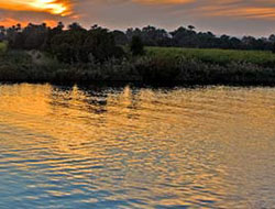 Bakamadığı 3 kızını nehire attı!