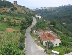 Gümrükçüoğlu'ndan müjde!
