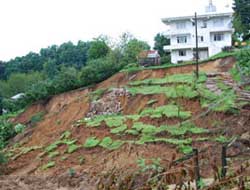 Ordu'da bir kişinin cesedi bulundu