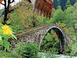 Çevre Bakanlığı tüm 'sit'leri sildi