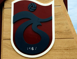 Niksar'da Trabzonspor Ormanı