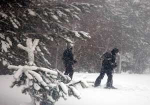 Erzurum'da hayat durdu