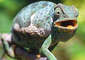 Herşey farkedilebilmek içinmiş