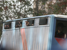 KCK davasında 4 kadın tutuklandı