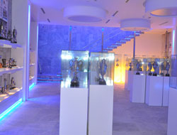 TS Müzesi 7. kupayı bekliyor