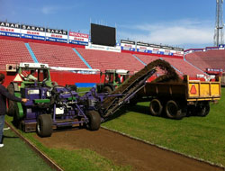 Avni Aker'de çimler sökülüyor