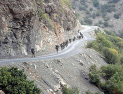 Disko'da işkenceye müebbet!