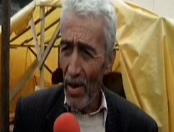 Sahibinden satılık evcil tosun