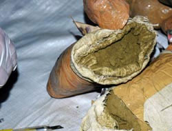 Bingöl adeta cephanelik gibi