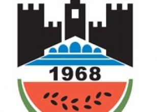 Diyarbakır'a bir darbe de FIFA'dan!